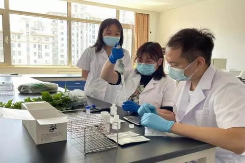 推廣應(yīng)用快速檢測(cè)技術(shù)，筑牢農(nóng)產(chǎn)品質(zhì)量安全“最初一公里”防線